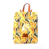 Shoe Bag